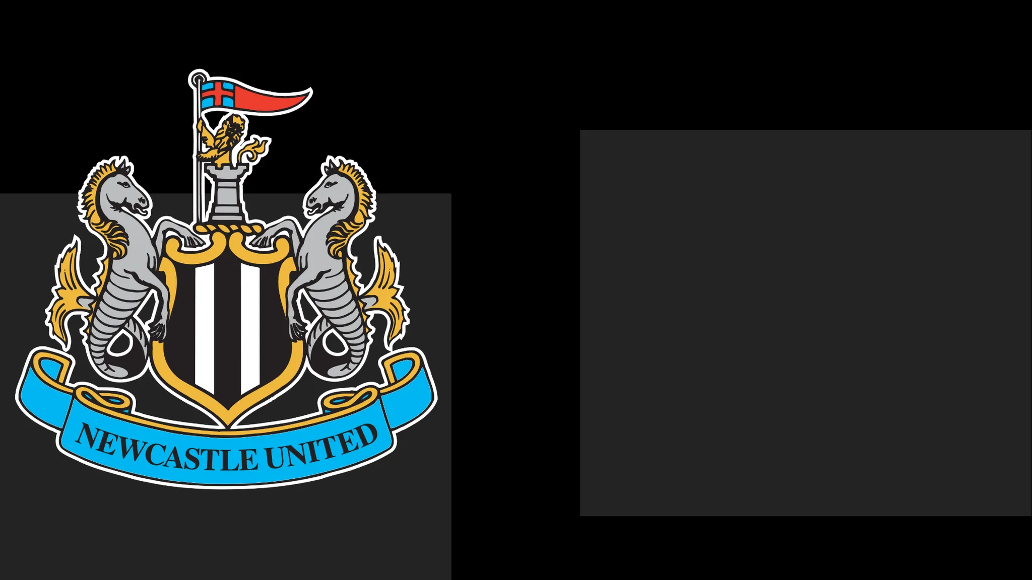 Newcastle's boss Commends Team's Heart – But It Only Takes Them To a Point